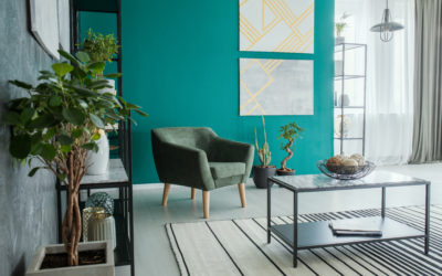 Plants & Paint: Colour Theory & Interior Design Tips