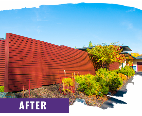 Fence After Staining