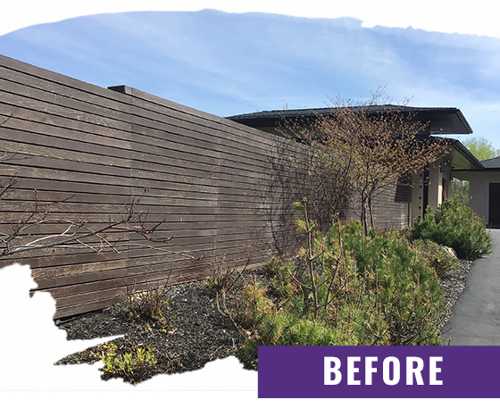 Fence Before Staining